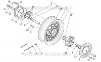 Roue arrière