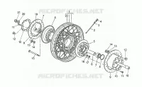 Roue AV rayons