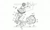 Arbre moteur