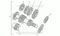 Var. b.vit. dents droites