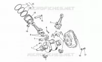 Arbre moteur