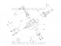 Arbre moteur