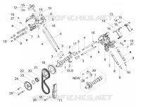 Distribution