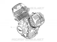 MOTEUR - SELECTEUR - PIGNON