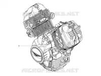 MOTEUR - SELECTEUR - PIGNON