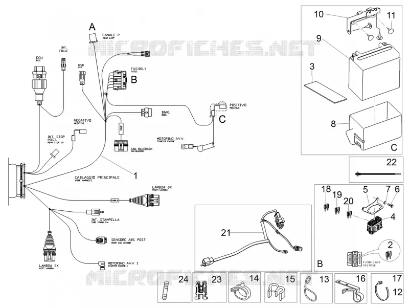 CIRCUIT ELECTRIQUE ARRIERE
