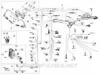 CIRCUIT ELECTRIQUE AVANT