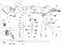 CIRCUIT ELECTRIQUE AVANT