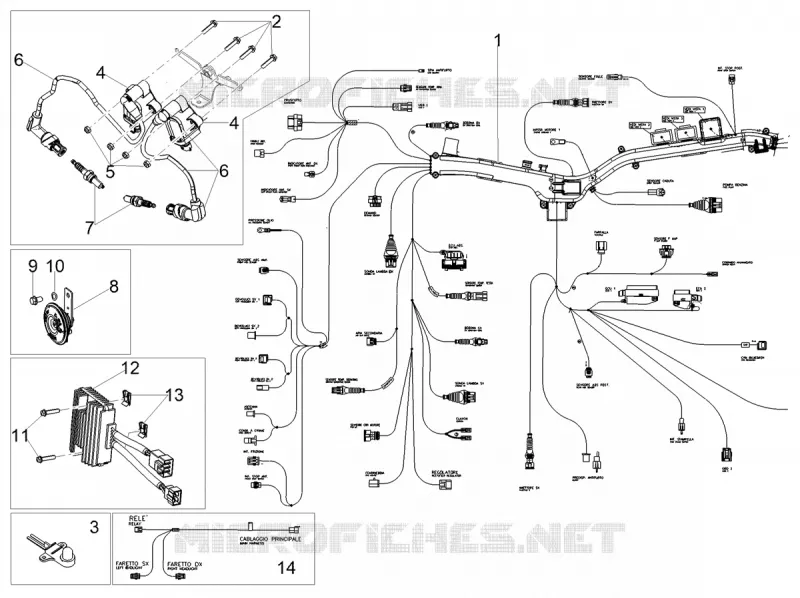 CIRCUIT ELECTRIQUE AVANT