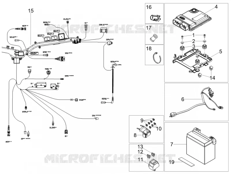 CIRCUIT ELECTRIQUE ARRIERE