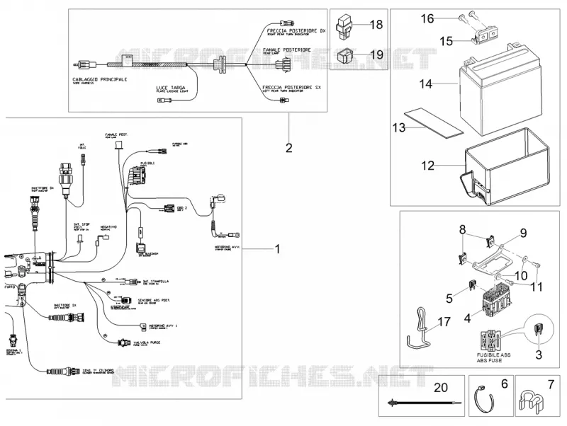 CIRCUIT ELECTRIQUE ARRIERE
